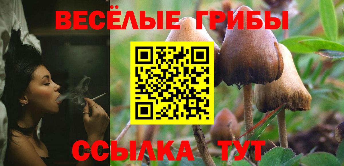 Коряжма  Псилоцибиновые грибы Cubensis  Вход с VPN  Галлюциногенные грибы Psilocybe 