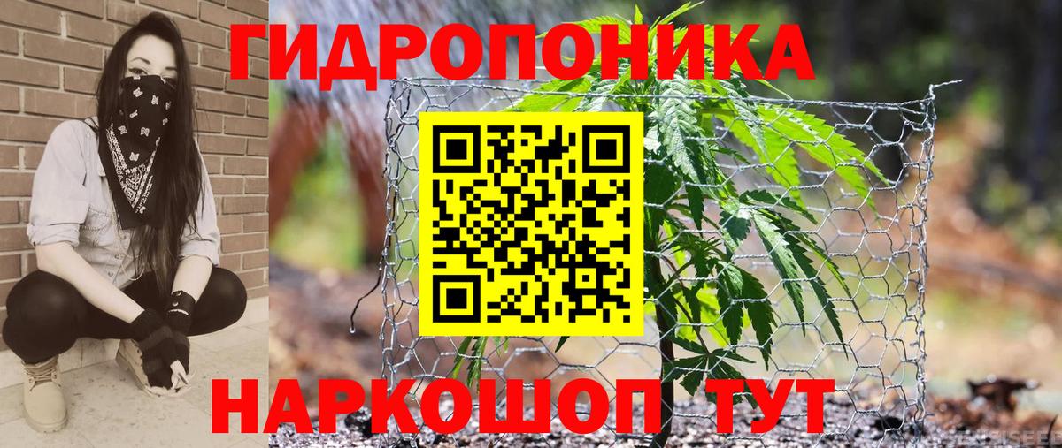 Бошки марихуана Ganja  Вход с VPN  Бошки Шишки THC 21%  Конопля сатива  Коряжма  Каннабис сатива 